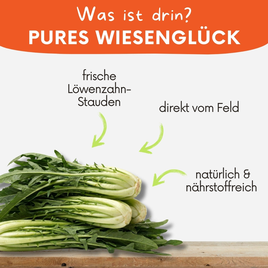 Frischer Löwenzahn für Kleintiere – naturbelassenes Frischfutter & Delikatesse