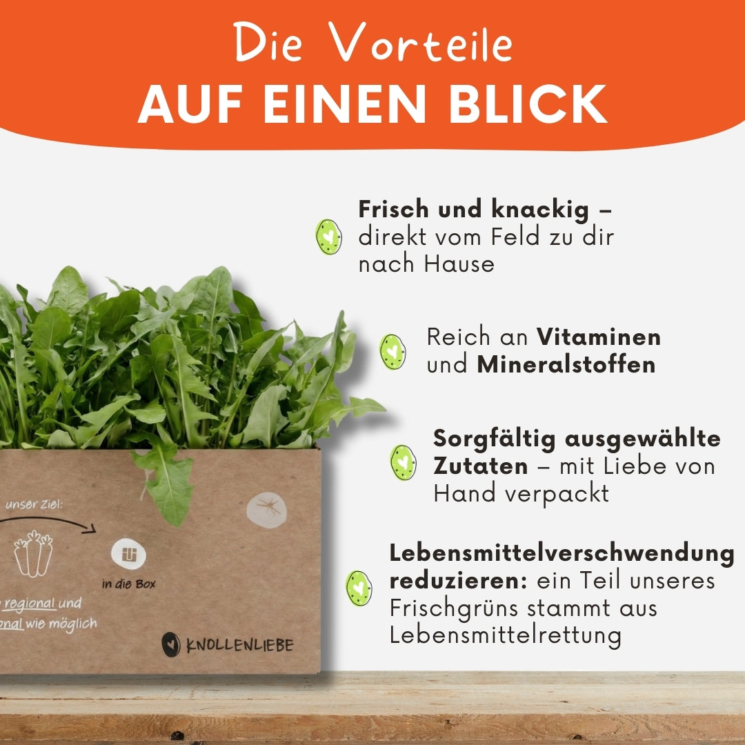 Frischer Löwenzahn für Kleintiere – naturbelassenes Frischfutter & Delikatesse