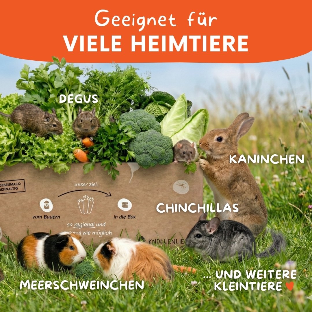 Für viele Kleintiere geeignet