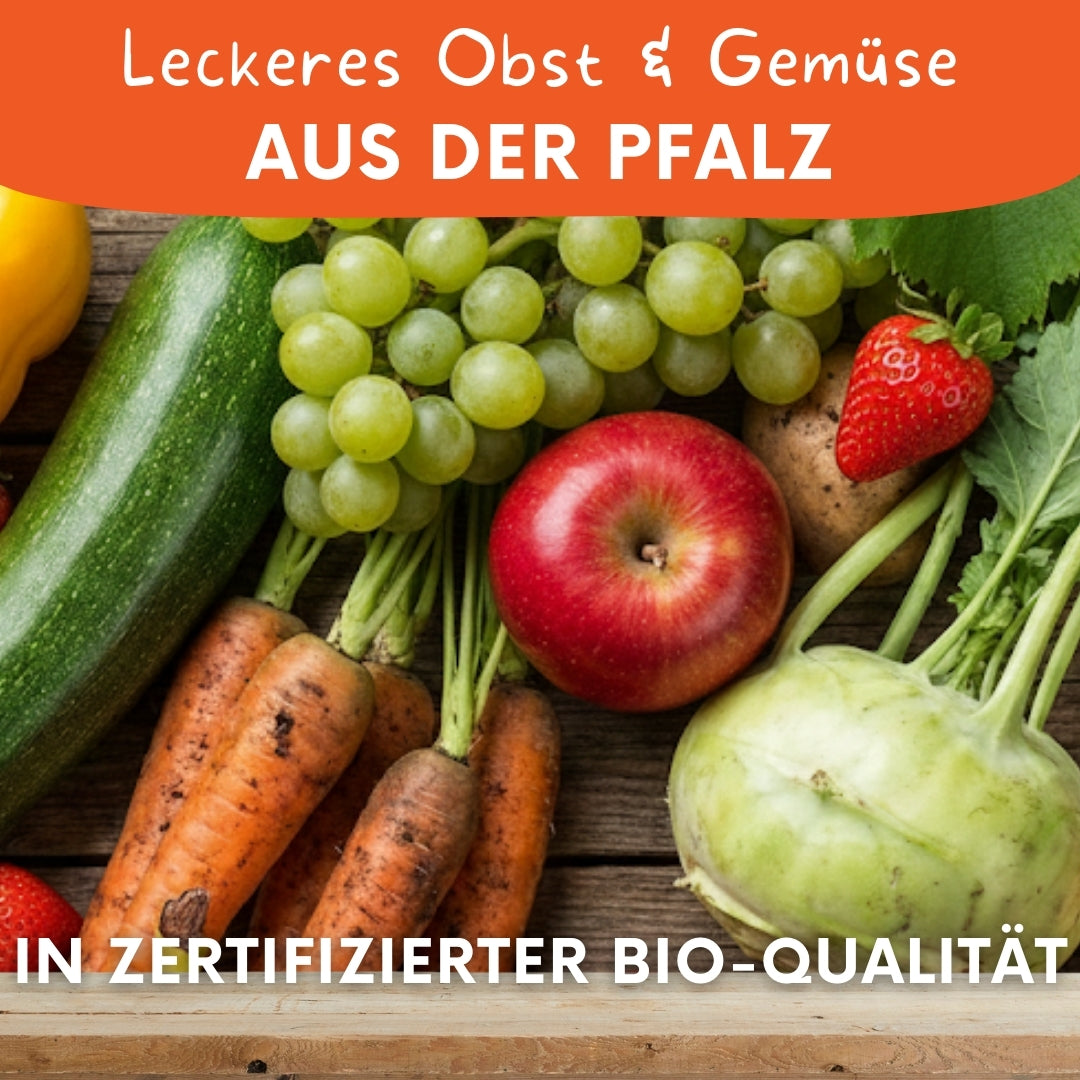Grafische Darstellung vom Inhalt der Bio-Box von Knollenliebe