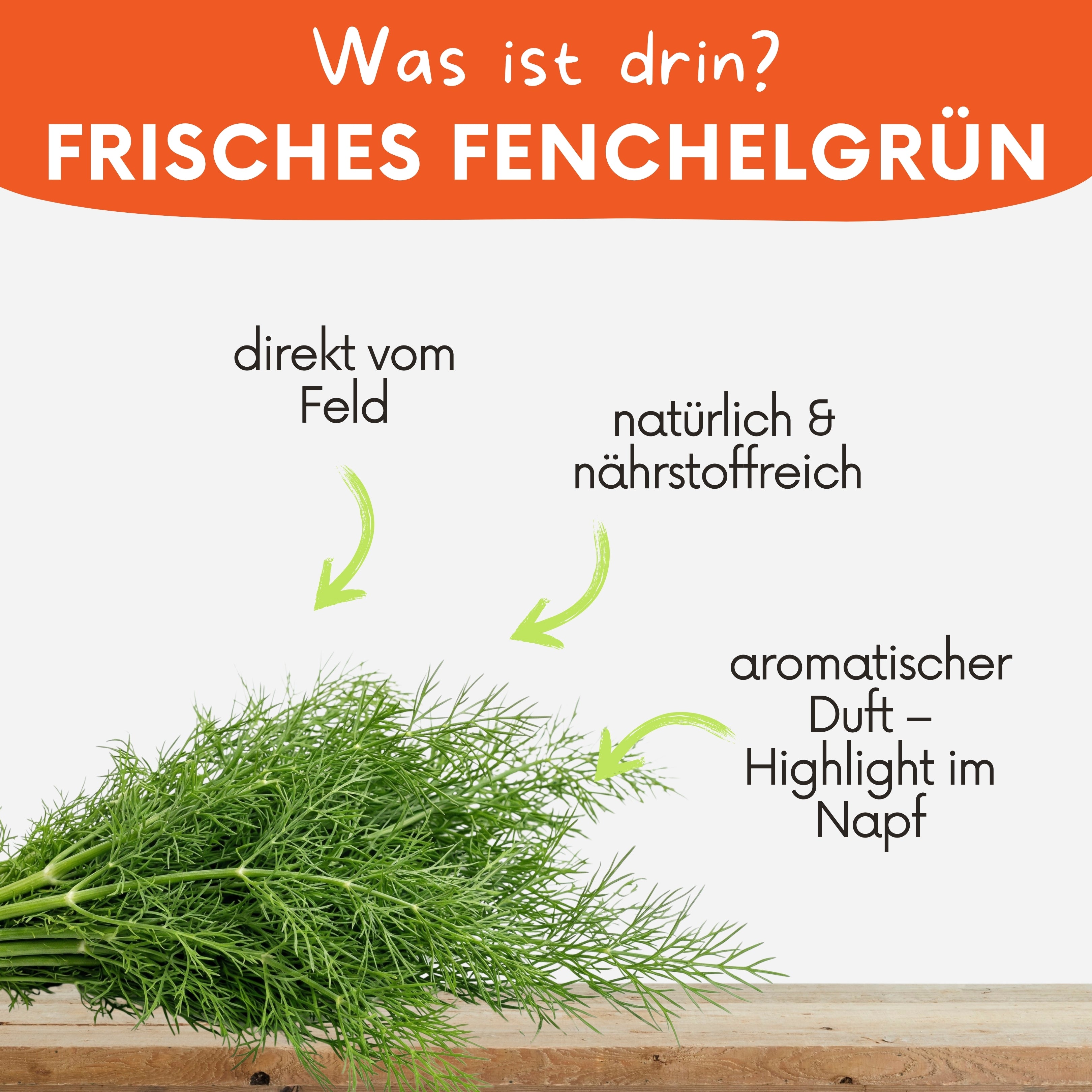 Nahaufnahme von frischem Fenchelgrün mit Informationen über den Inhalt 