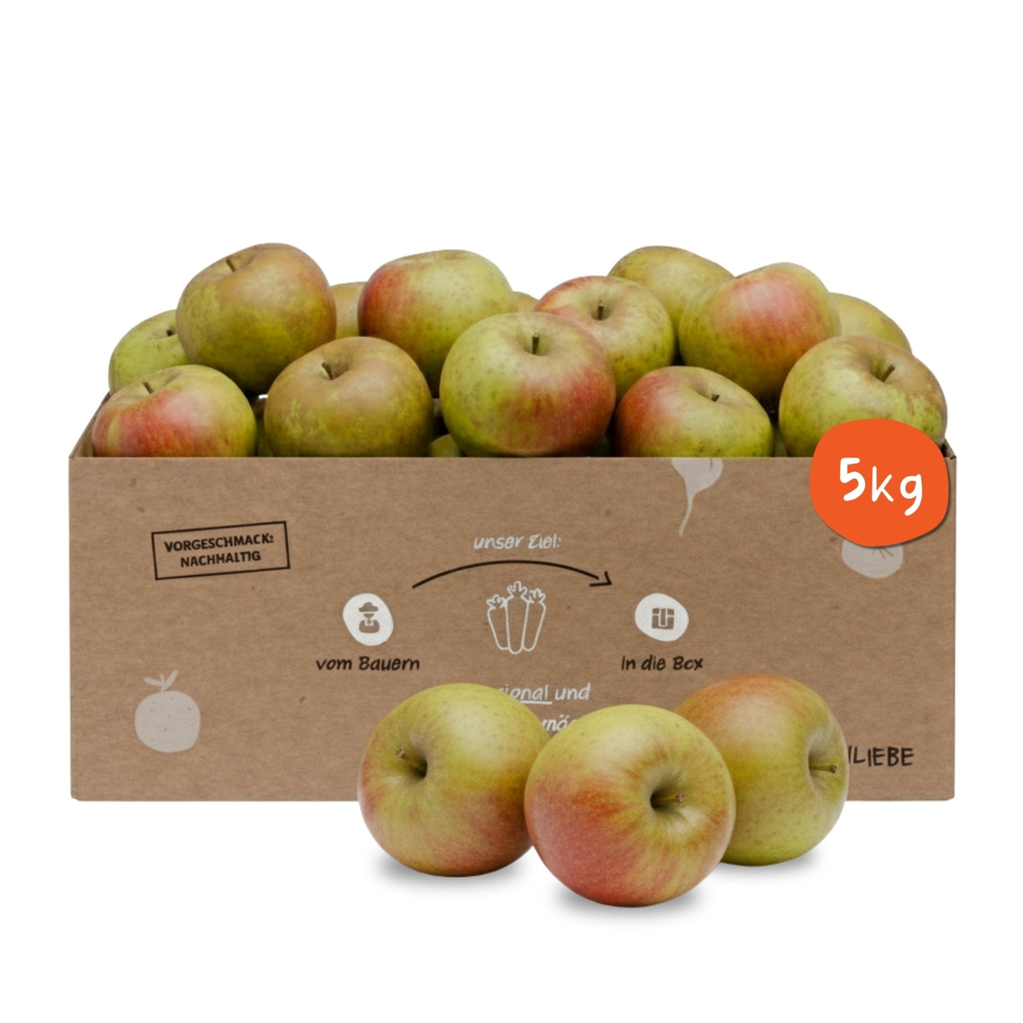 Knollenliebe Boskop Apfel-Box mit 5 Kilo frischen, knackigen Äpfeln aus regionalem und saisonalem Anbau