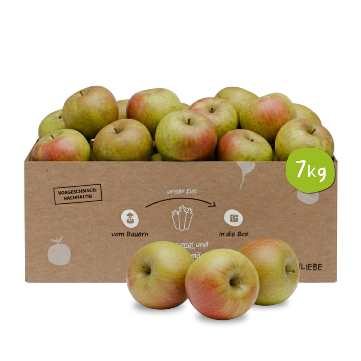 Knollenliebe Boskop Apfel-Box mit 7 Kilo frischen, knackigen Äpfeln aus regionalem und saisonalem Anbau