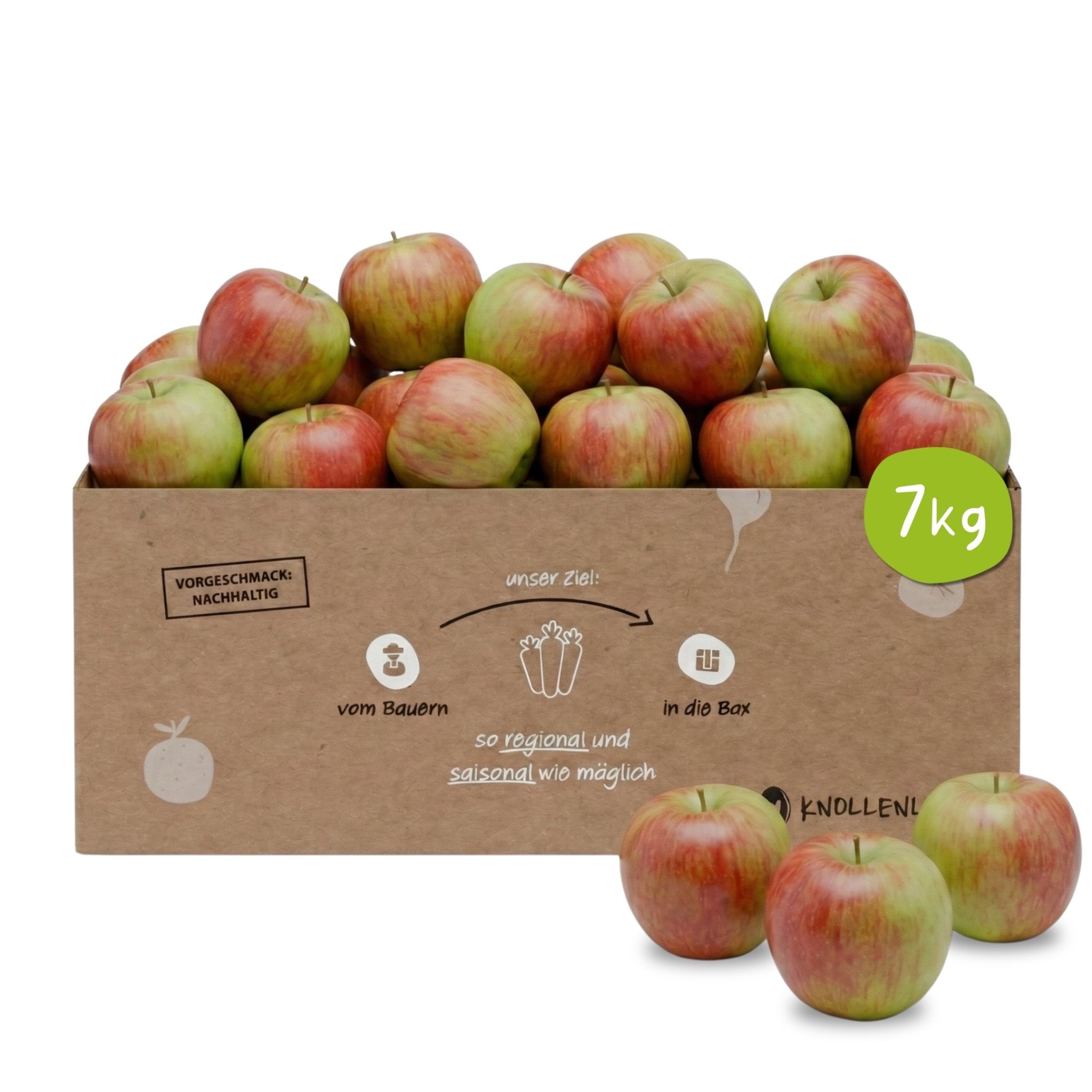 Knollenliebe Braeburn Apfel-Box mit 7 Kilo frischen, knackigen Äpfeln aus regionalem und saisonalem Anbau.