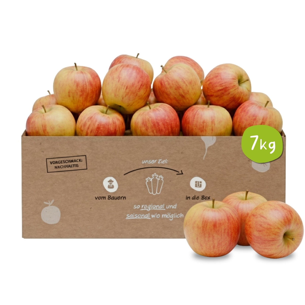 Knollenliebe Elstar Apfel-Box mit 7 Kilo frischen, knackigen Äpfeln aus regionalem und saisonalem Anbau