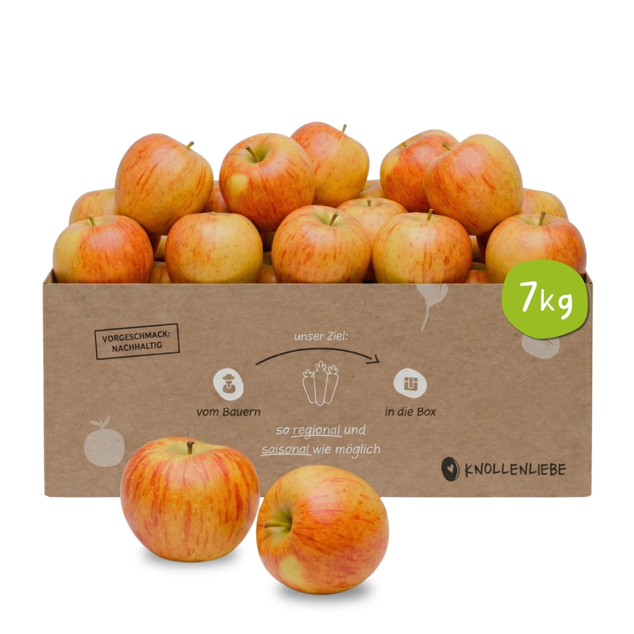 Knollenliebe Topaz Apfel-Box mit sieben Kilo frischen, knackigen Äpfeln aus regionalem und saisonalem Anbau.
