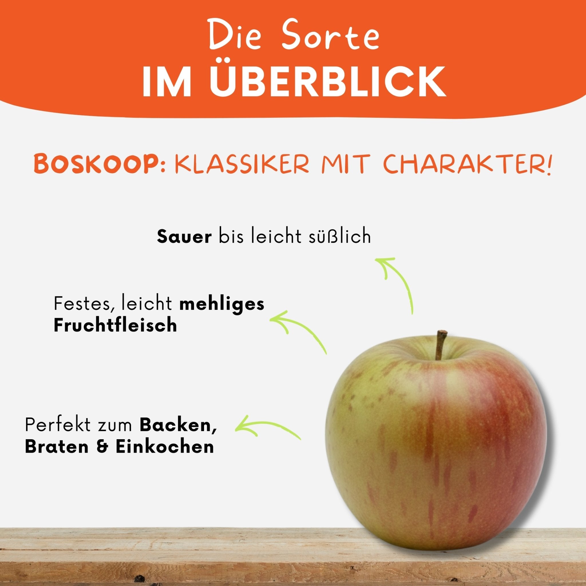 Steckbrief zur Sorte Boskoop - sauer bis leicht süßlich und perfekt zum Backen, Braten & Einkochen