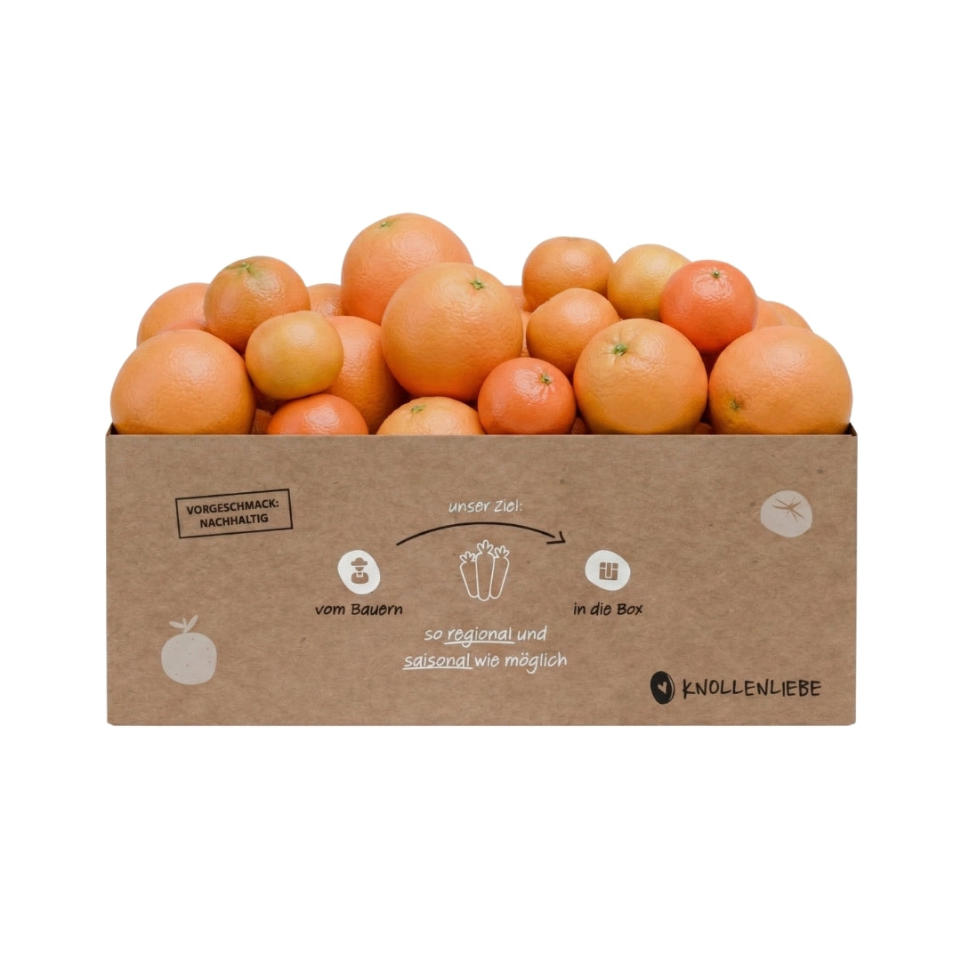 Knollenliebe Orangen-Clementinen-Box mit einer Auswahl an frischen Zitrusfrüchten