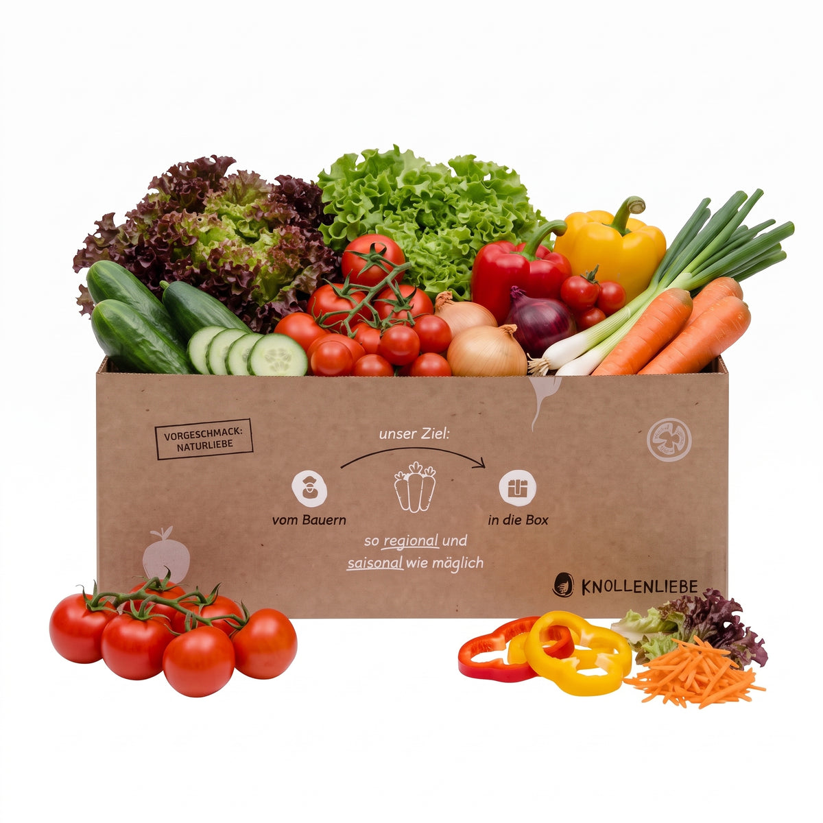 Frische Salatbox mit Paprika, Tomaten, Gurke, Karotten, Zwiebeln und Frühlingszwiebeln