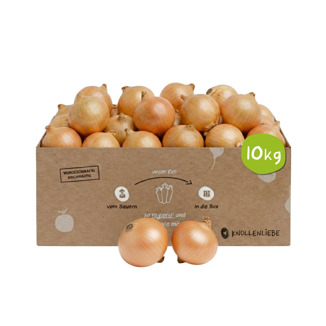 Knollenliebe Zwiebel-Box mit zehn Kilo frischen, aromatischen Pfälzer Speisezwiebeln aus regionalem Anbau.