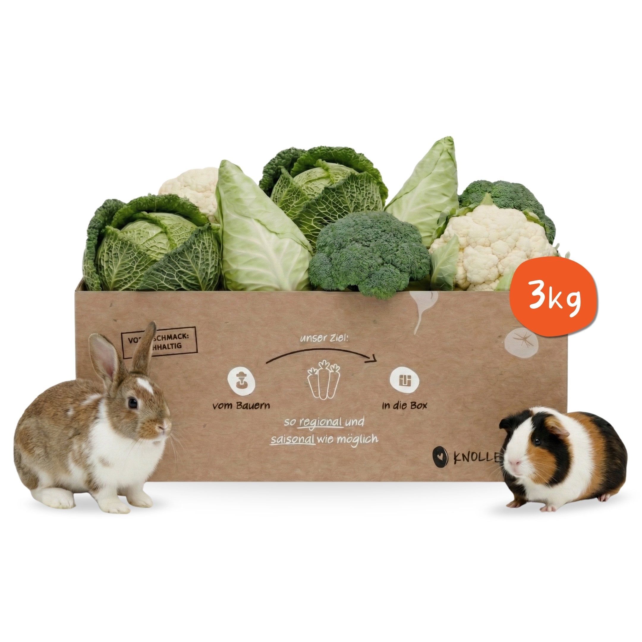 Frische Kleintier-Box gefüllt mit regionalem Kohl