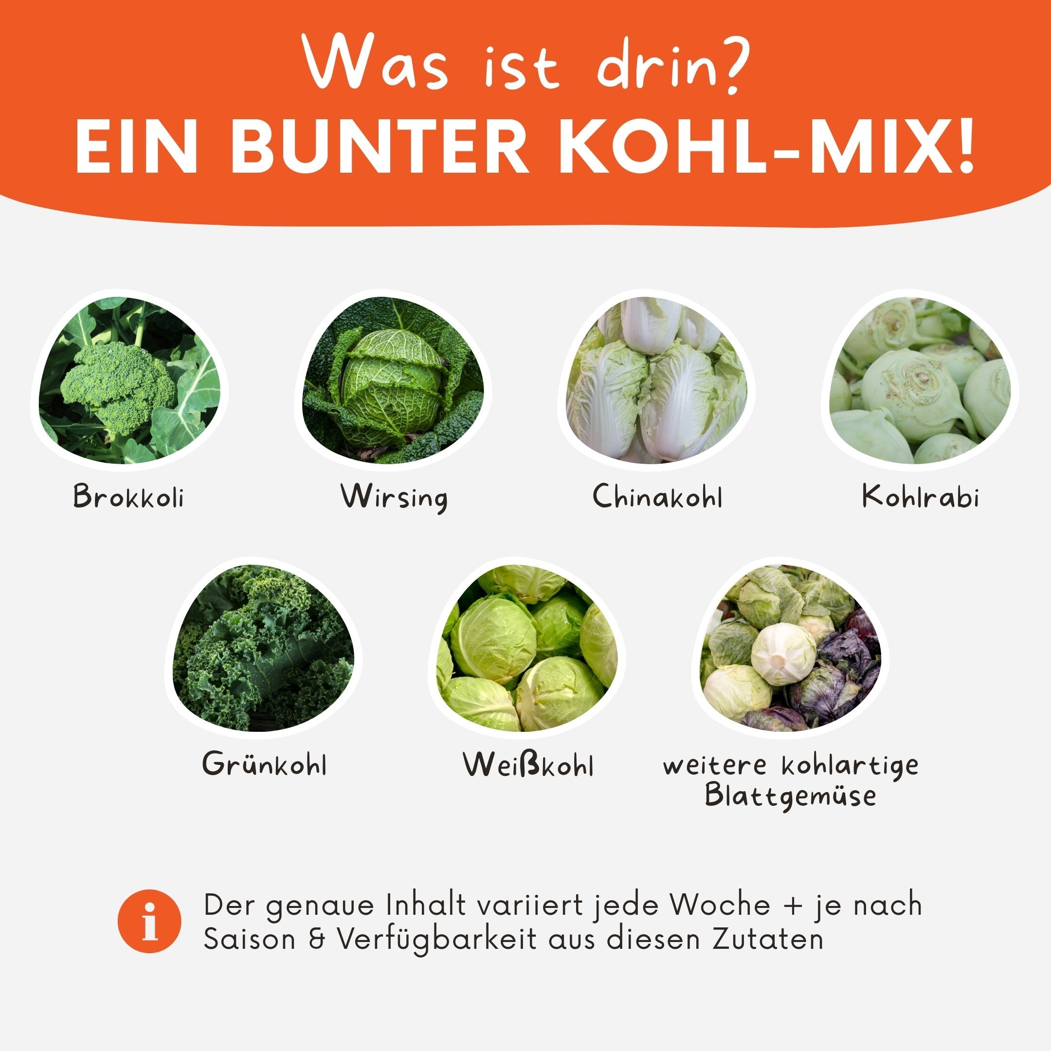 Übersicht zu Inhalten in der Kohl-Box