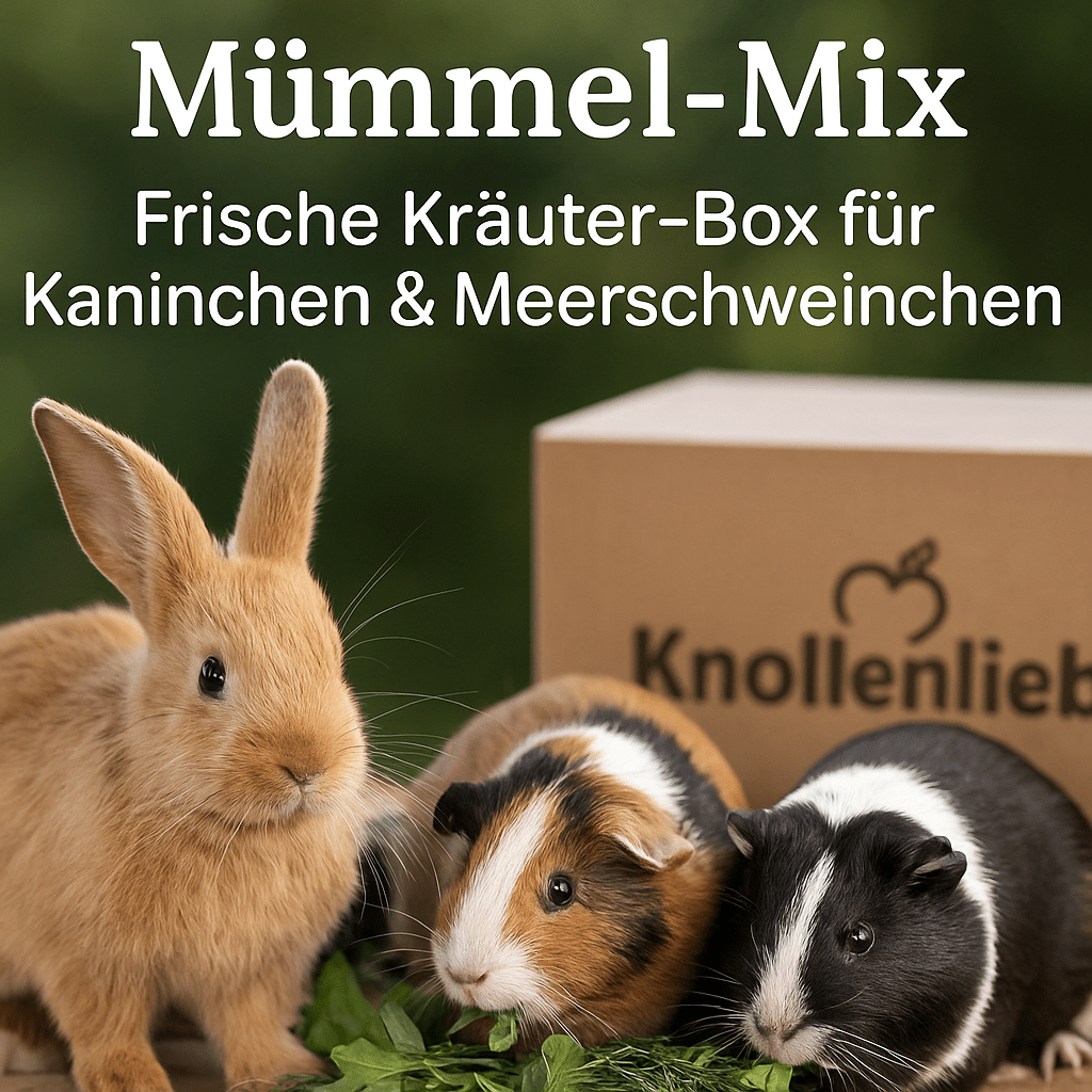 3 kg Gemüsevielfalt für Nager – direkt geliefert von Knollenliebe