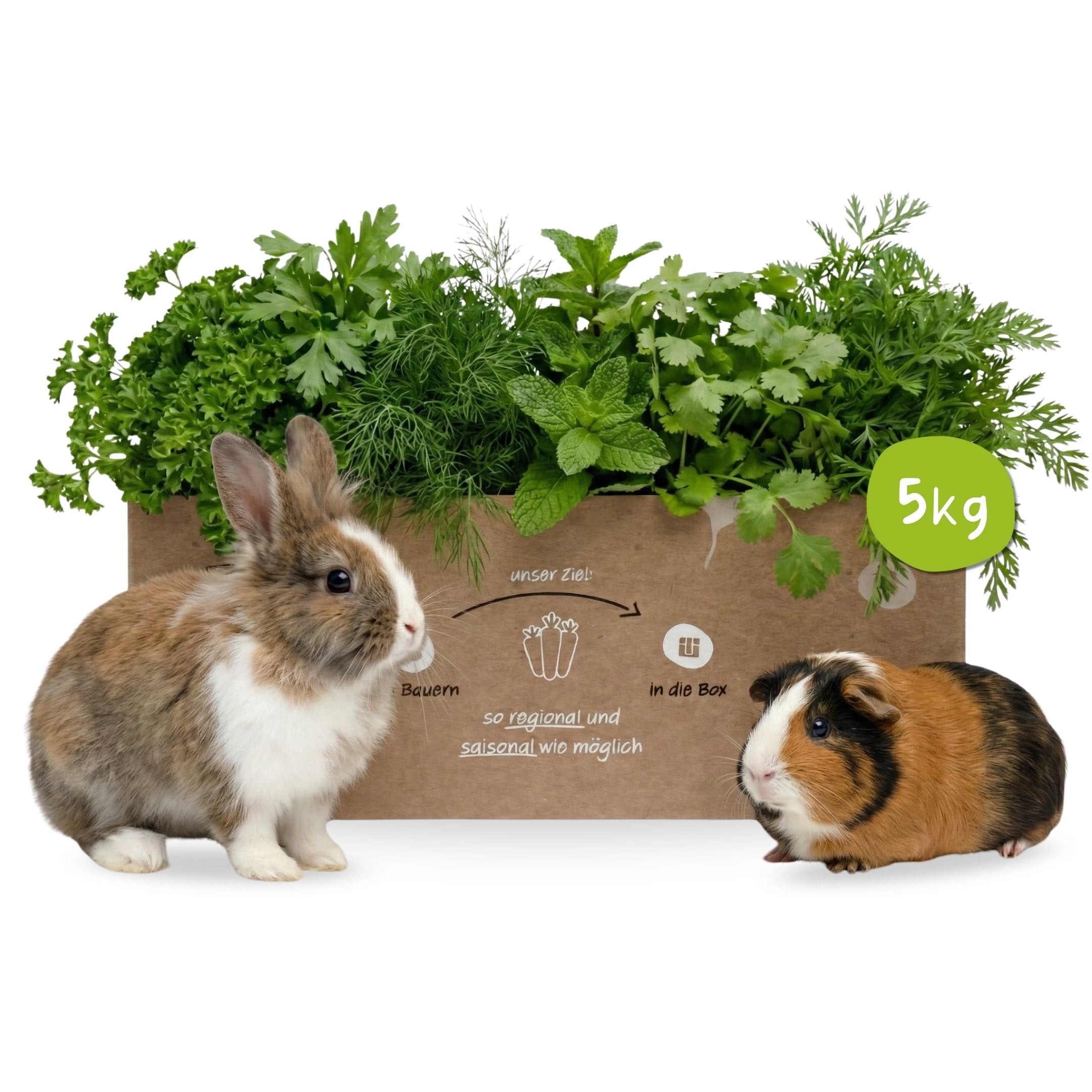 Gemischte Kräuterbox für Kleintiere