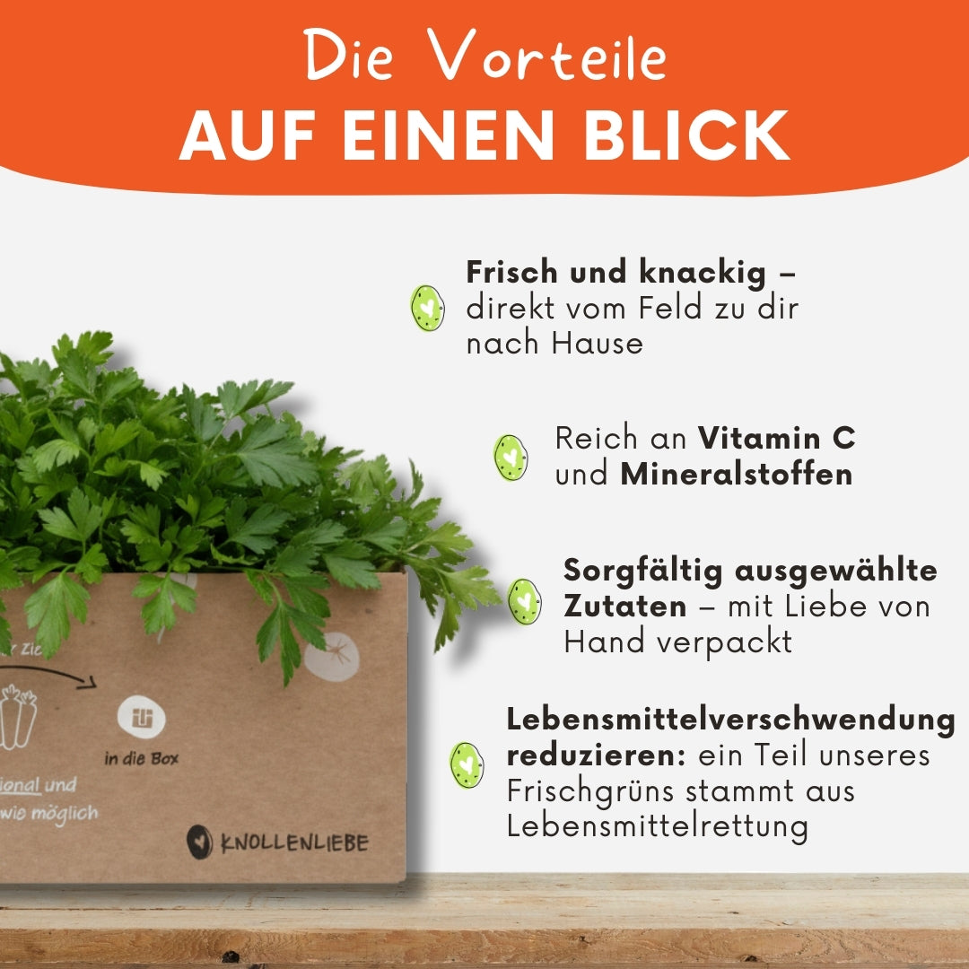 Grafische Darstellung der Vorteile einer Box mit glatter Petersilie von Knollenliebe