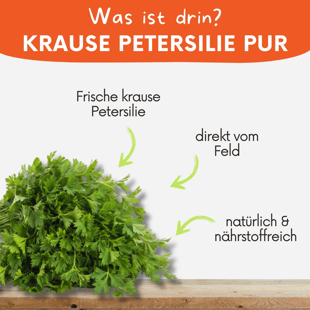 Grafische Darstellung des Inhalts der Box mit krauser Petersilie von Knollenliebe