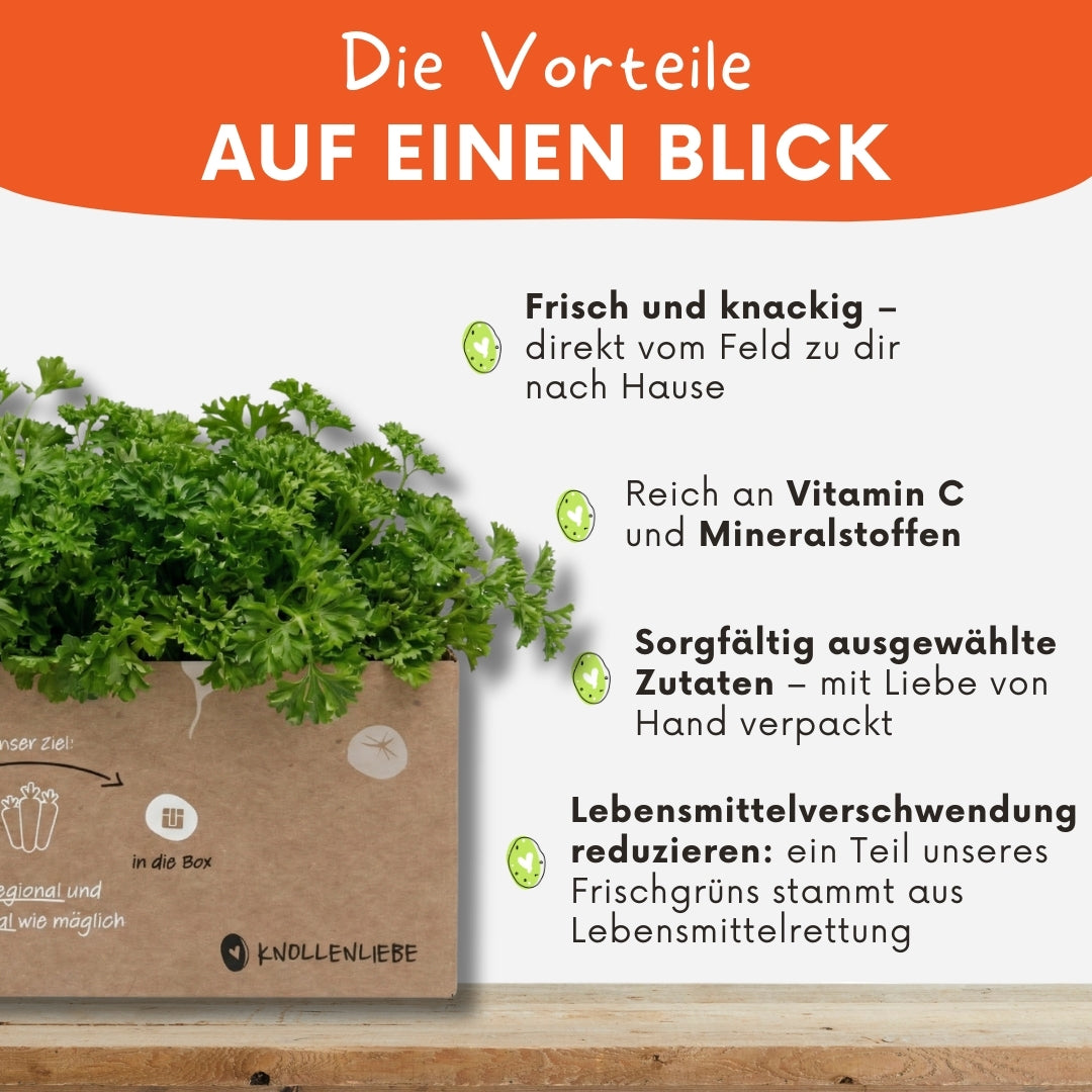 Grafische Darstellung der Vorteile einer Box mit krauser Petersilie von Knollenliebe