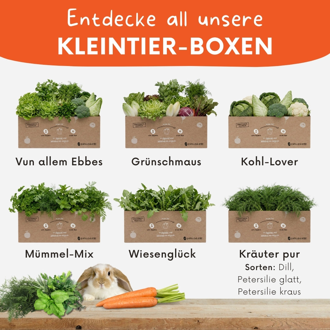 Alle Kleintierboxen von Knollenliebe in einer Übersicht 