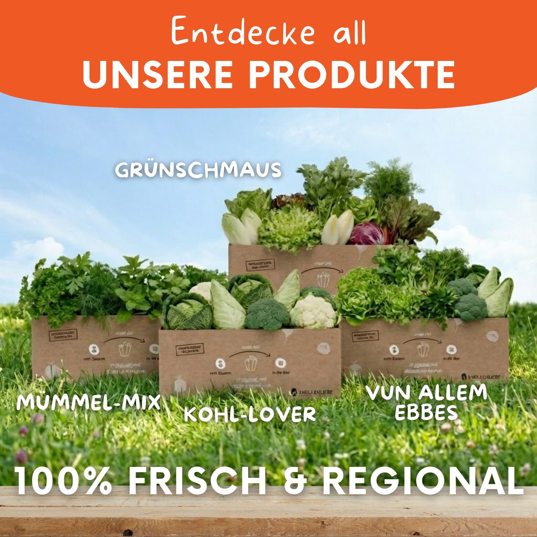 Übersicht der Kleintierboxen von Knollenliebe