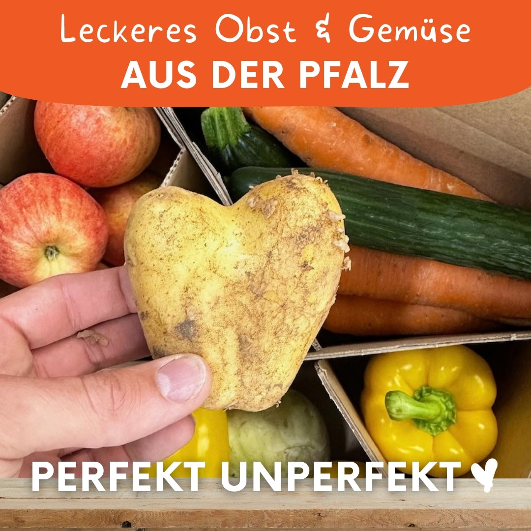 Grafische Darstellung vom Inhalt der Retter-Box von Knollenliebe