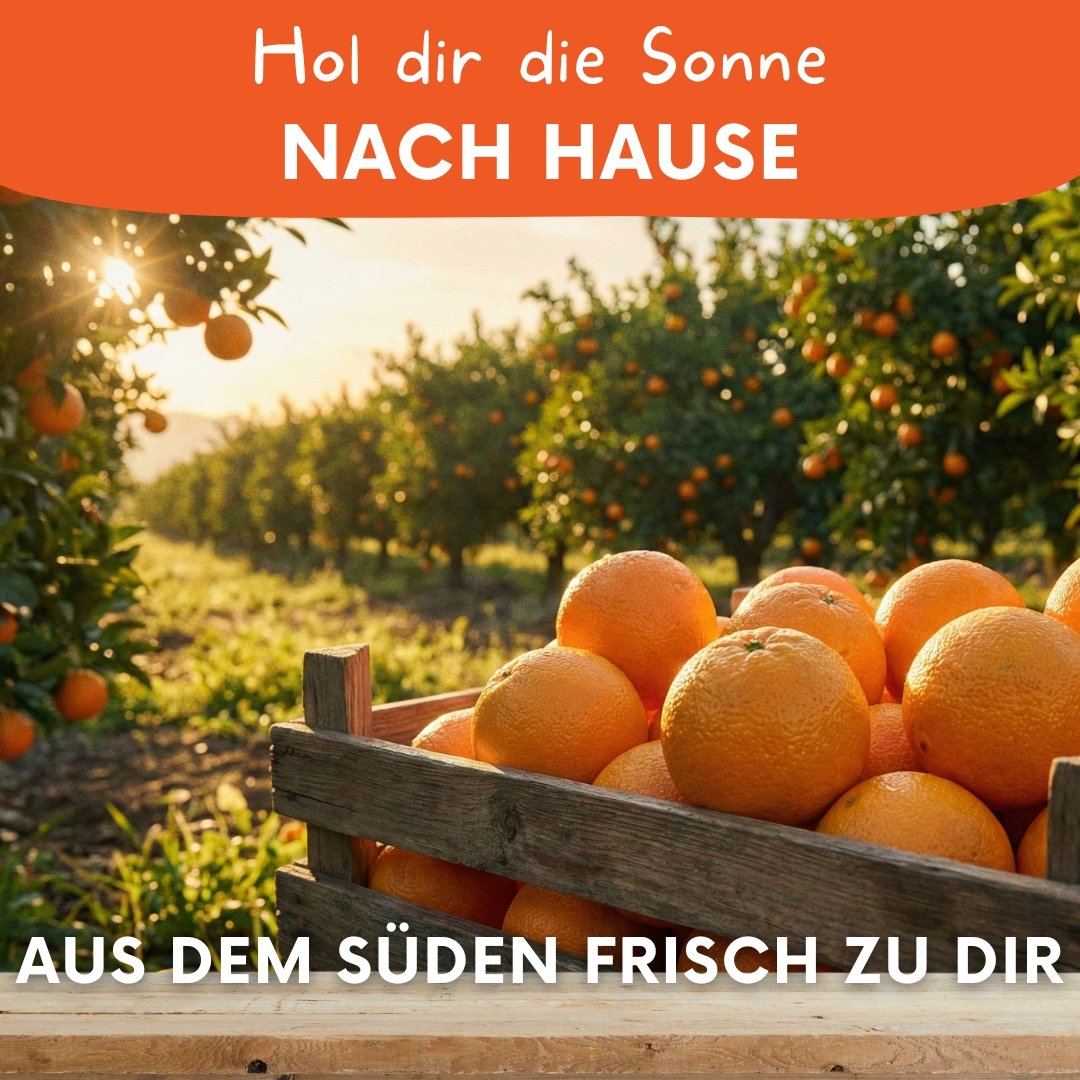 Saftorangen-Box – perfekt für frisch gepressten Orangensaft