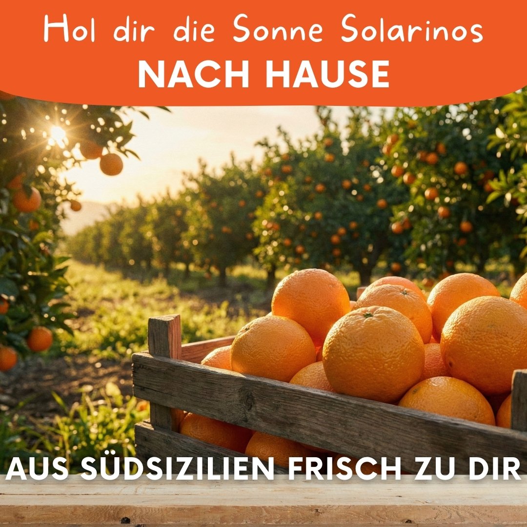 Solarino Orangenbox – Bio-Orangen aus Südsizilien