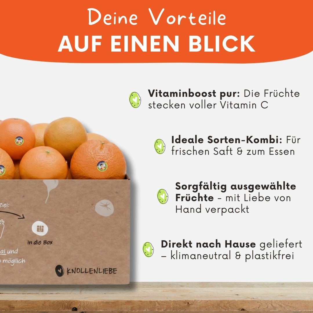 Solarino Orangenbox – Bio-Orangen aus Südsizilien