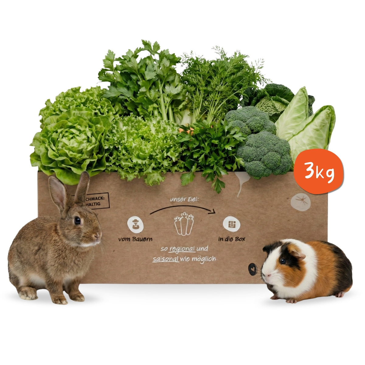 Gemischte Frischfutter-Box für Kaninchen, Meerschweinchen & Co