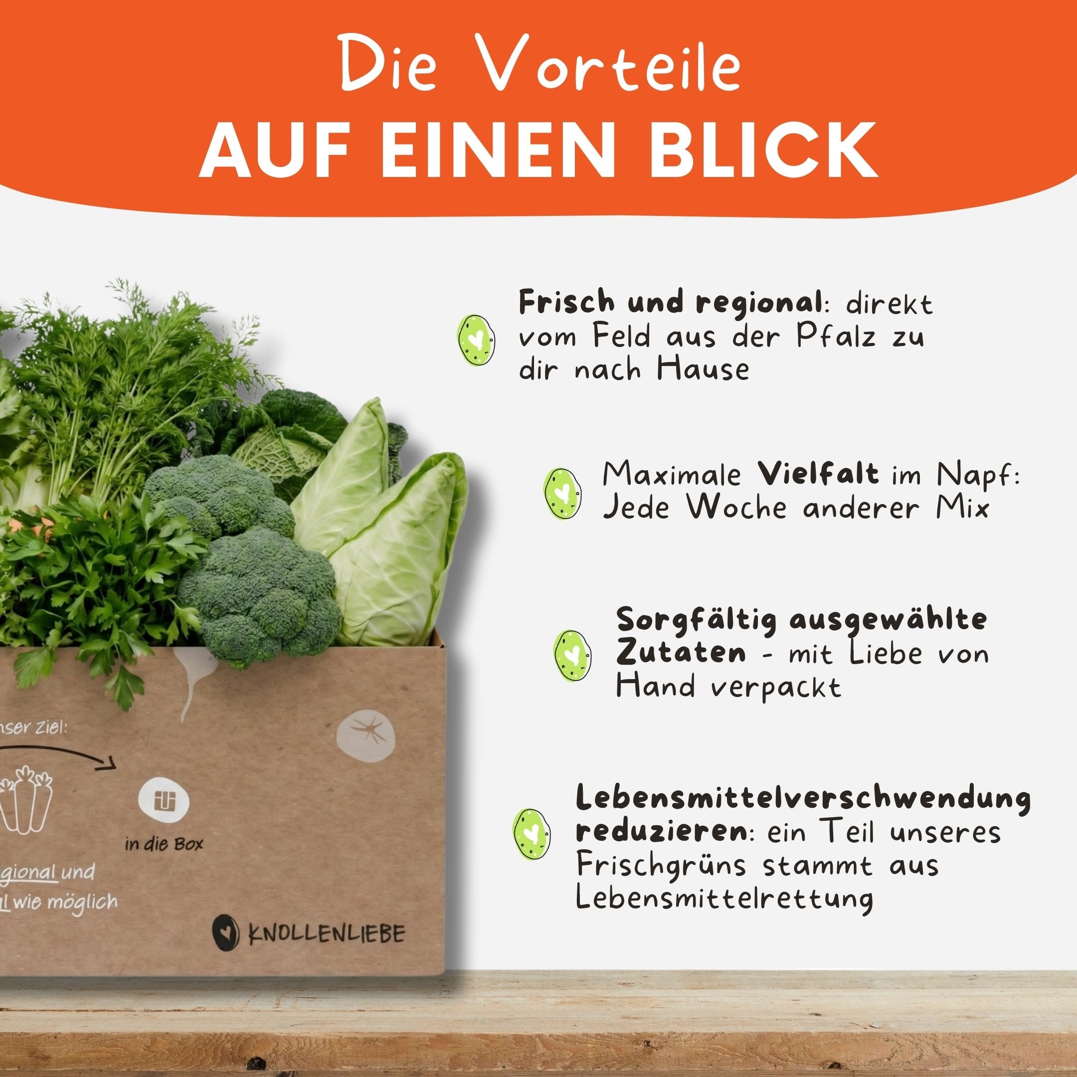 Vorteile von der Kleintierbox